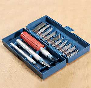 [2294] 10 Blades Wood Carving Tool Woodworking Engraving Cutting Sculpture Handle